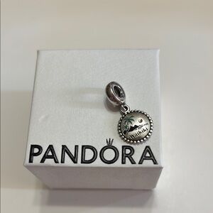 Pandora Silver Waikiki Charm